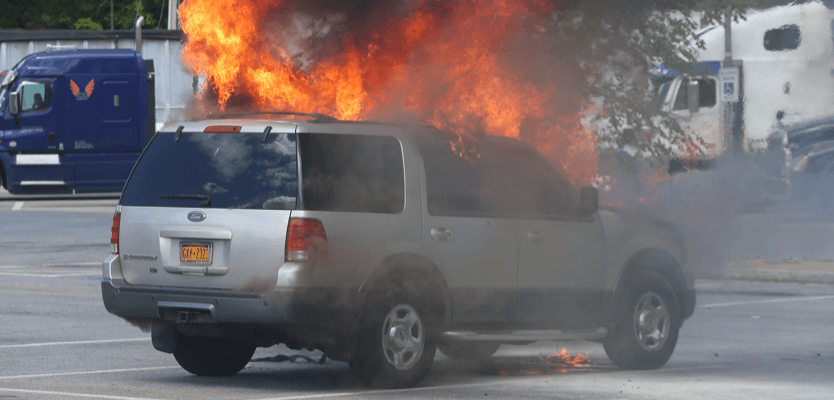 How To Prevent An Accident When A Bee Flies Into Your Car While Driving Pretected